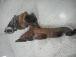 TURBOCHARGER Opel Zafira 2004 2.0 DT 16V