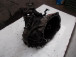 GEARBOX Ford Focus 2002 1.8TDCI 