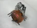 TURBOCHARGER Toyota Yaris 2010 1.4 d4d 172010N041