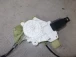 MECCANISMO ALZA VETRO ANTERIORE DESTRA BMW 3 2008 320D COUPE 51337193456