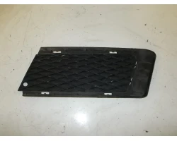 GRIGLIA COFANO BMW 3 2008 320D COUPE 51117154719