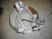 MOZZO DESTRO ANTERIORE CON MONTANTE BMW 1 2005 120D