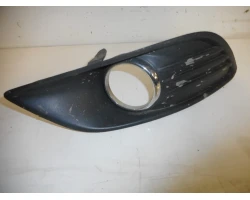 GRIGLIA COFANO Ford Focus 2010 1.6 LEVO