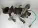 TURBINA Renault TWINGO 2011 1.5DCI 54359710028