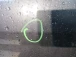 PORTA POSTERIORE SINISTRA Ford Focus 2011 1.6TDCI WAGON