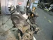 CEL MOTOR Volkswagen Passat 2003 1.9 TDI AVB