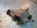 DIFFERENTIAL REAR Toyota RAV4 2004 2.0D4D