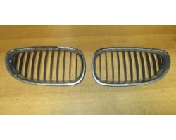 GRIGLIA COFANO BMW 5 2004 520I