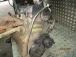 MOTORE COMPLETO Mitsubishi Colt 2008 1.3 4A9D
