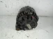 ALTERNATORE Audi A4, S4 2004 AVANT 2.5TDI Q sg14b012