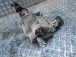 DIFFERENTIAL REAR Hyundai Santafe 2007  y031100498