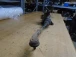 SCATOLA STERZO GUIDA Audi A3, S3 2000 1.9TDI