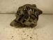 ALTERNATOR Subaru Impreza 2008 1.5R AWD WAGON 23700aa540   a2tg0391