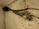DOOR LOCK REAR RIGHT Citroën C5 2010 III TOURER 2.0 HDI 9660525380  9685950277