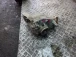 DIFFERENTIAL REAR BMW X 2011 1  2.0D 754158002