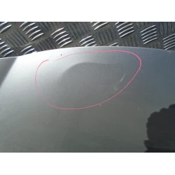 COFANO ANTERIORE Peugeot 207 2006 1.4 16V