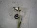 DOOR LOCK FRONT RIGHT Mazda Mazda2 2008 1.4