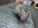 GEARBOX Mitsubishi Colt 2008 1.1