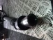 CARDAN SHAFT Mitsubishi Outlander 2007 2.0 D
