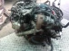 CEL MOTOR Audi A6, S6 2005 2.7 TDI BPP