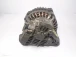 ALTERNATOR Mazda Mazda5 2006 2.0 CD 7S