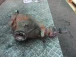 DIFFERENTIAL REAR BMW 5 2008 530 TOURING D AUT. 33107570478
