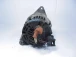 ALTERNATOR Mitsubishi Carisma 2001 1.6