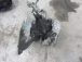 CAMBIO Opel Corsa 2005 1.4 16V