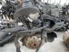 MOTORE COMPLETO Škoda Fabia 2008 COMBI 1.6 BTS