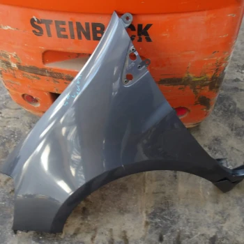 PARAFANGO SINISTRO Renault CLIO III 2005 1.4