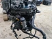 CEL MOTOR Volkswagen New Beetle 2005 CABRIOLET 1.9 TDI AXR