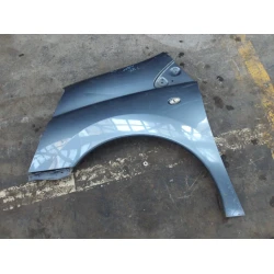PARAFANGO SINISTRO Citroën JUMPY 2009 2.0 HDI