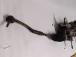 STEERING RACK Peugeot 207 2007 1.6 I 16V 6700001531b