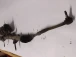 STEERING RACK Peugeot 207 2007 1.6 I 16V 6700001531b