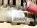 ALTERNATOR Ford Fusion  2008 1.4 2s6t10300cd