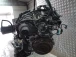 CEL MOTOR Ford Focus 2013 1.6 LPG MUDA