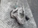 MENJALNIK Renault KANGOO 2008 1.5 DCI TL4 7701477995