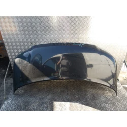 BONNET Volkswagen Transporter 2006 1.9 TDI