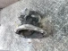 CAMBIO Opel Corsa 2010 1.4 16V ML5 55566113