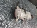 DIFFERENZIALE POSTERIORE Land Rover Freelander 2007 2.2TD 6g9n-4n053-bm