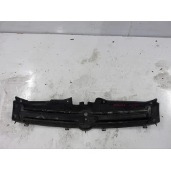 GRIGLIA COFANO Fiat Panda 2009 1.2
