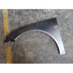PARAFANGO SINISTRO Opel Insignia 2013 2.0 DT 16V SW