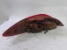TAIL LIGHT RIGHT Mazda Mazda2 2010 1.4
