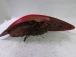 TAIL LIGHT LEFT Mazda Mazda2 2010 1.4