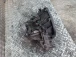 MENJALNIK Renault LAGUNA III 2008 GRANDTOUR 2.0 DCI PK4007 7701479185