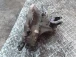 GEARBOX Honda CIVIC 1998 1.4 I 5MT 21200P4AA00