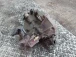 GEARBOX Honda CIVIC 1998 1.4 I 5MT 21200P4AA00