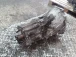 CAMBIO BMW 3 2014 318 GT D 23008610983