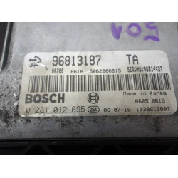 RAČUNALNIK MOTORJA Chevrolet CAPTIVA 2006 2.0 DT 16V 96813187