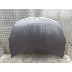 BONNET Citroën C-Crosser 2009 2.4 I AUT 7901P5